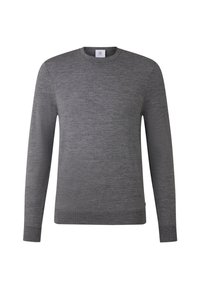 Grauer Rundhalsausschnitt-Pullover aus weichem Stoff. Mit langen Ärmeln sowie einem gerippten Saum und Bündchen. Einfaches, einfarbiges Design ohne Muster.