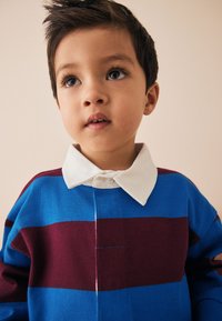 Modrý a vínově pruhovaný svetr s bílým límečkem. Design zahrnuje zapínání na knoflíky a pletenou strukturu.