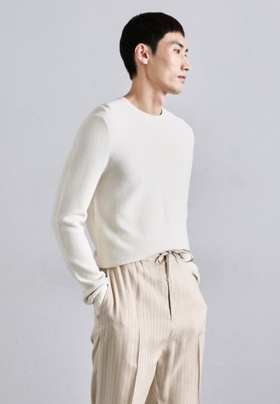 Tiger of Sweden ISCOVE - Pantalon classique - tehina
