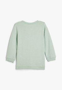 Lichtgroene sweatshirt met lange mouwen, geribbelde halslijn en mouwen; zachte textuur en eenvoudig ontwerp zonder zichtbare logo's of patronen.