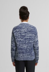 Getextureerde gebreide trui in blauw en grijstinten, met een ontspannen pasvorm, ronde hals en geribde manchetten, gezien vanaf de achterkant.