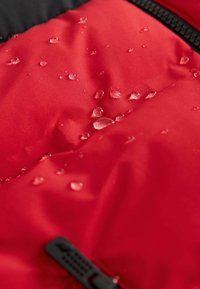 Next PADDED PUFFER STANDARD - Vinterfrakke - red and black