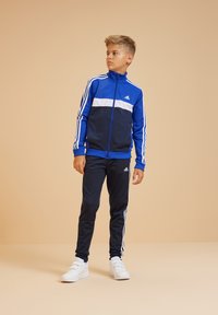adidas Performance TIBERIO UNISEX niebieski