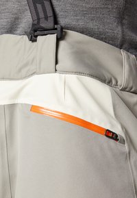 Spyder PROPULSION PANTS - Pantalones de esquí - concrete