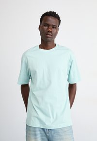 The North Face ZUMU RELAXED TEE - Majica kratkih rukava s printom - muted pine