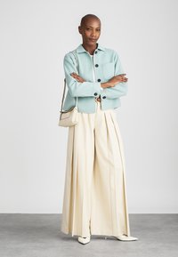 Svetlo modra kratka jakna z žepom, kombinirana s kremnimi širokimi hlačami. Bele čevlje s koničastim prstom dopolnijo videz. Minimalistični oblikovalski elementi.