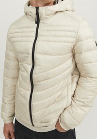 Giacca imbottita beige con cappuccio; presenta una cerniera nera, orlo a costine e cuciture orizzontali per l'isolamento. Texture liscia e lucida.
