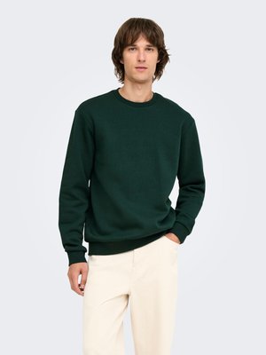 Only & Sons, CERES PULLOVER - Суитшърт - grün