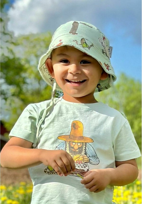 PETTSON AND FINDUS SUNNY – Hut