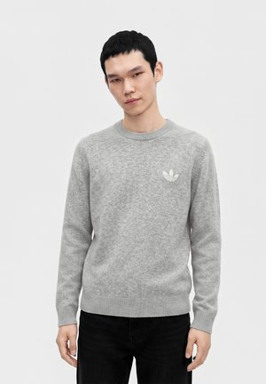 Joven con un jersey gris claro de cuello redondo con el logo de Adidas, de pie frente a un fondo blanco liso con las manos relajadas.
