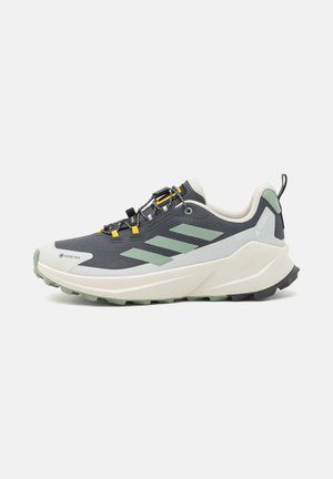 adidas Terrex, NATIONAL GEOGRAPHIC TRAILMAKER 2.0 GORE-TEX® HIKING - Zapatillas de senderismo - carbon/silver green/orbit grey