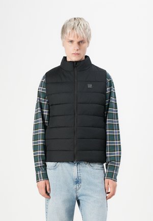 Jonge man in een zwart gewatteerd vest over een groen geruite shirt en lichtblauwe spijkerbroek, staand tegen een witte achtergrond.