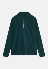 Vybrané, fuel green