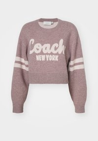 Maglione corto in malva chiaro, con la scritta "Coach New York" in bianco, righe bianche sulle maniche e polsini a costine.