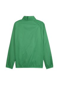 Veste légère verte avec un col, des manches longues et des poignets élastiques. Présente une texture lisse et brillante et un design simple sans embellissements.