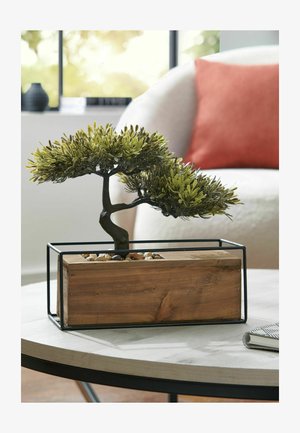 Next, ARTIFICIAL BONSAI TREE IN BRONX WOODEN TROUGH UNISEX - Decoration - green