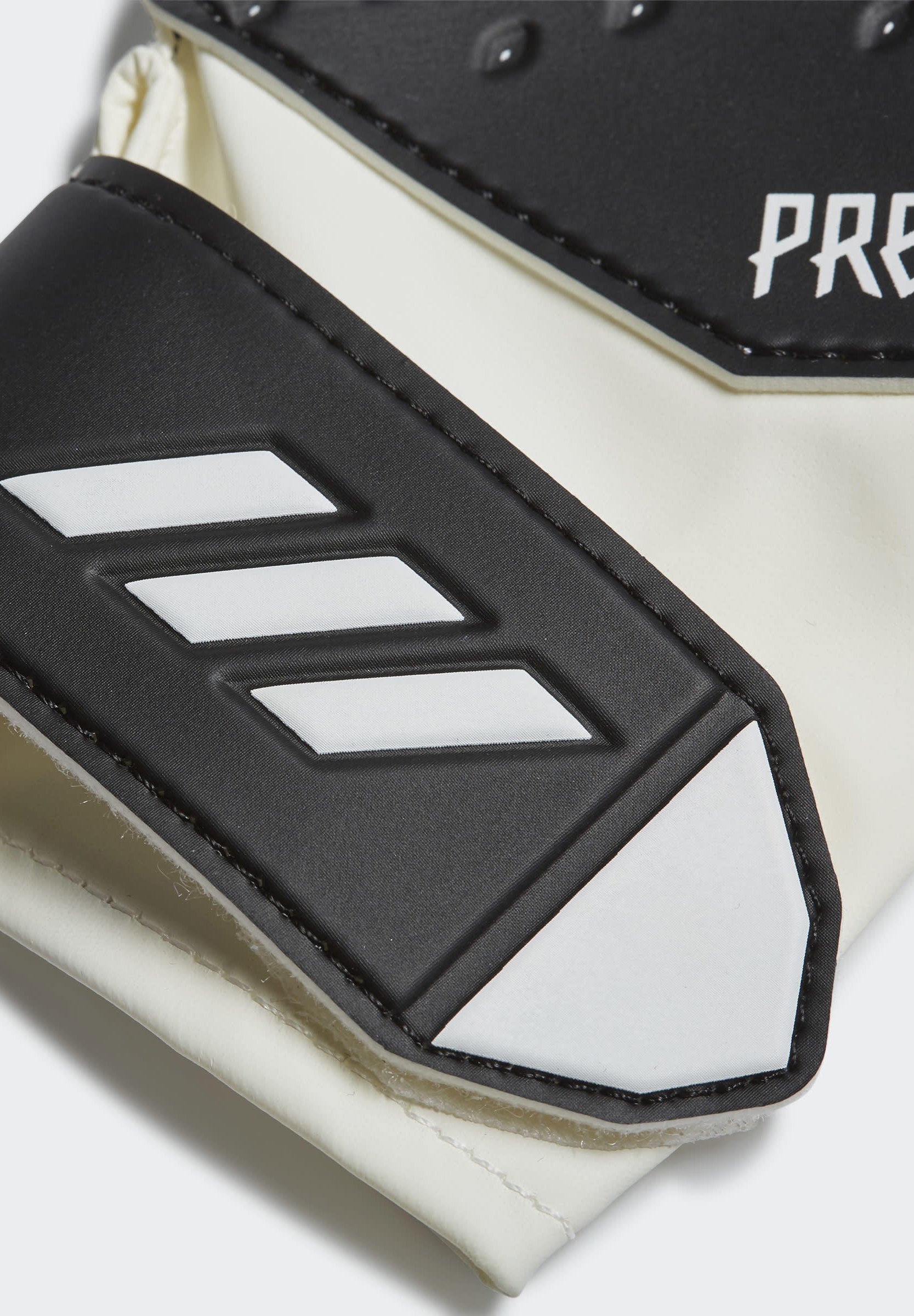 predator 20 training