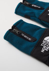 The North Face DENALI ETIP GLOVE - Handsker - midnight petrol