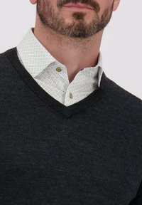 Man met een getrimde baard in een witte gestreepte dress shirt onder een donkergrijze V-hals trui tegen een witte achtergrond.