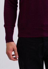 CASH-MERE STEHKRAGEN  - Cardigan - cranberry rot