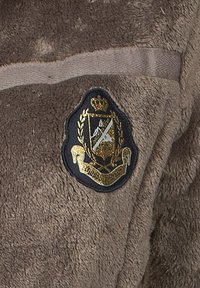Peak Mountain ALTINA - Veste polaire - brown