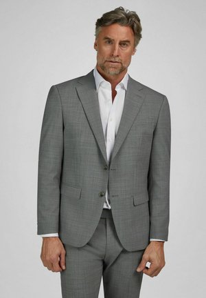 Middelaldrende mand med gråt hår iført en lysegrå skræddersyet dragt og hvid skjorte, stående foran en ensfarvet baggrund.