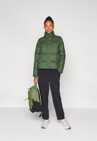 Patagonia SILENT - Jakna ispunjena paperjem - torrey pine green