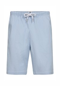 Light blue swim shorts with white vertical stripes, elastic waistband, adjustable drawstring, and metal accents for secure fit.