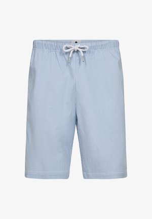 Bañadores de color azul claro con rayas verticales blancas, cinturilla elástica, cordón ajustable y detalles metálicos para un ajuste seguro.