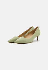 Tacchi a punta in suede verde con tacco kitten basso. Texture liscia, design classico, che presenta un'estetica minimalista senza adornamenti.