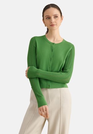 Mujer con cárdigan verde abotonado con mangas estampadas y pantalones de talle alto color crema, posando con los brazos cruzados.