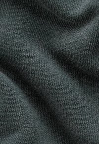 Next Jersey con capucha - grey