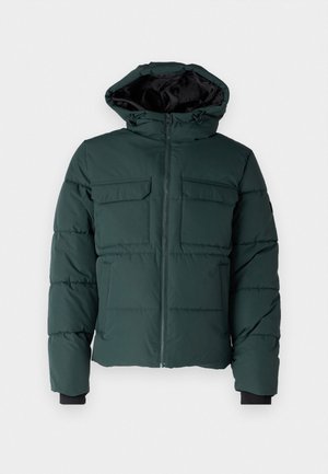 Giacca puffer verde con cappuccio, zip frontale e due tasche sul petto. Presenta polsini elasticizzati e una finitura testurizzata. Interno foderato.
