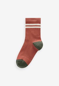 Next RICH 5 PACK - Calze - earthy tipped stripes