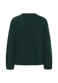 Donkergroene, fuzzy, lange mouwen trui met een ronde hals, van achteraf getoond, op een effen witte achtergrond.