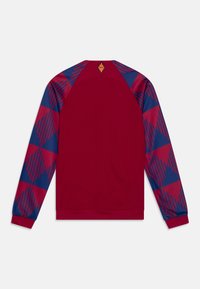 Rød langærmet trøje med blå mønstrede ærmer, der har diagonale striber og geometriske former. Inkluderer et lille logo på bagsiden.