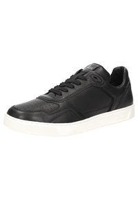 Sioux TEDROSO - Sneaker low - schwarz