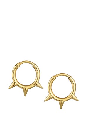 HOOPS TREND - Øreringe - gold-coloured