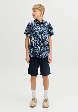 Chlapec v modrej a bielo listovej vzorovanej košeli s krátkym rukávom, námorníckych šortkách, bielych ponožkách a béžových topánkach, stojaci a pozerajúci sa doľava.