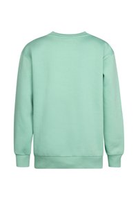 Sweatshirt vert menthe avec un col rond, des manches longues et des poignets côtelés. L'arrière est lisse, présentant une texture simple et uniforme.