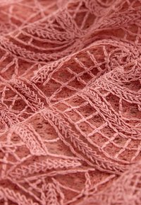 Rožnato obarvana, nežna čipkasta tkanina z zapletenim vezenjem z motivi listov in mrežastih vzorcev, ki prikazuje teksturiran, lahek dizajn.