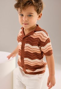 Next EGULAR FIT - Kardiganas - brown cream