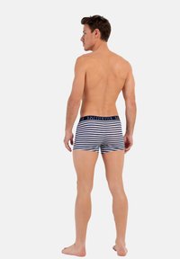 Randiga kalsonger för män i marinblått och vitt, med en solid midjeresår med logotyp. Mjukt tyg, åtsittande design och mitt på låret längd.