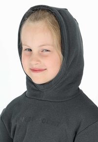 Gray hoodie with a large, attached hood. Soft fabric texture and visible stitching. "SWEDEMOUNT" logo printed in dark tone on the front.