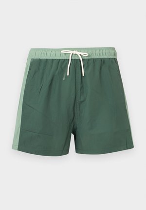 Shorts de bain pour hommes bicolores verts avec une taille élastique vert clair, un cordon de serrage et des bandes latérales, présentés à plat sur un fond blanc.