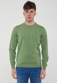 Maglione verde a maniche lunghe con scollatura rotonda e polsini a costine. Presenta un piccolo logo sul petto e una texture liscia. Indossato con jeans blu.