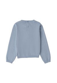 Maglione lavorato a maglia di colore azzurro chiaro con maniche lunghe, polsi a coste e dettaglio con bottoni sulla schiena. La trama appare morbida e leggermente elasticizzata.