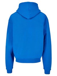 Felpa con cappuccio blu, in cotone, design a pullover, con polsini e orlo a costine. Tessuto morbido con un colore vibrante e uniforme, senza logo visibile.