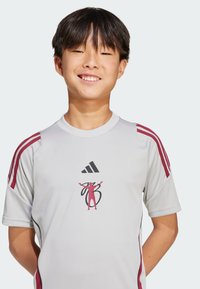 Grå t-shirt med kort ärm för sport med röda ränder, försedd med Adidas-logotypen och en grafisk design på framsidan. Slät textur.