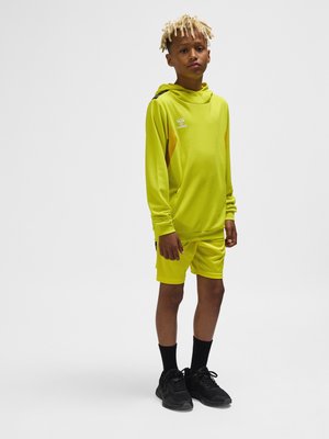 Hummel, AUTHENTIC - Hoodie - blazing yellow